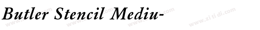 Butler Stencil Mediu字体转换